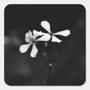 minimal black and white floral square sticker