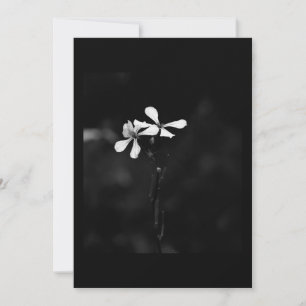minimal black and white floral thank you card