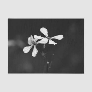 minimal black and white floral tissue paper