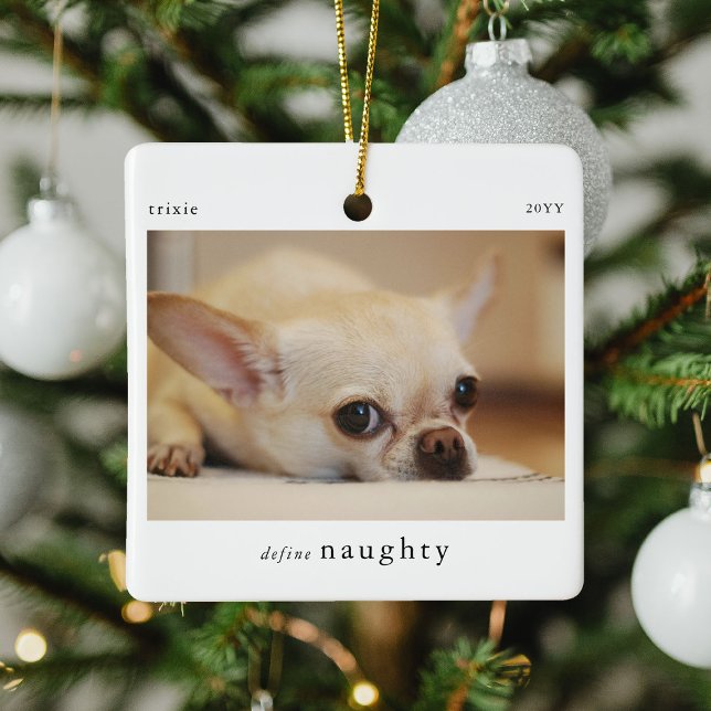 Minimal Define Naughty Pet Photo Keepsake Ceramic Ornament (Creator Uploaded)