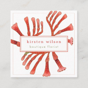 Minimal, Elegant Kangaroo Paw Flowers Square Busi Business Card