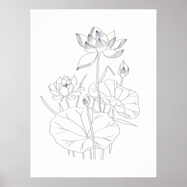 Minimal Elegant Waterlily Floral Botanical Sketch Poster (Front)