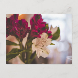 Minimal Floral Postcard
