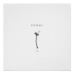minimal fungi aesthetic line art nature concept de poster