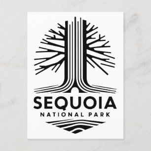 Minimal Sequoia National Park Postcard