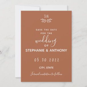Minimal Terracotta Branch Calligraphy Wedding Save The Date