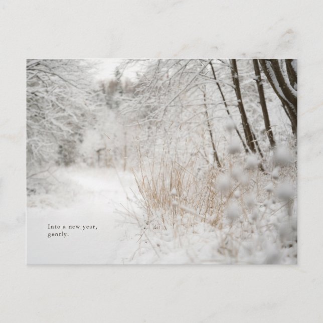 Minimal Winter Forest Path, New Year Holiday Postcard (Front)