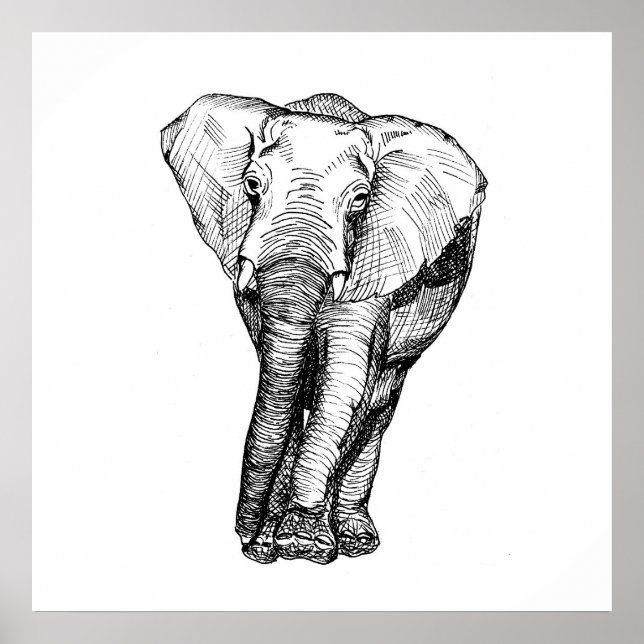 Minimalism black and white, animals, original poster (Front)