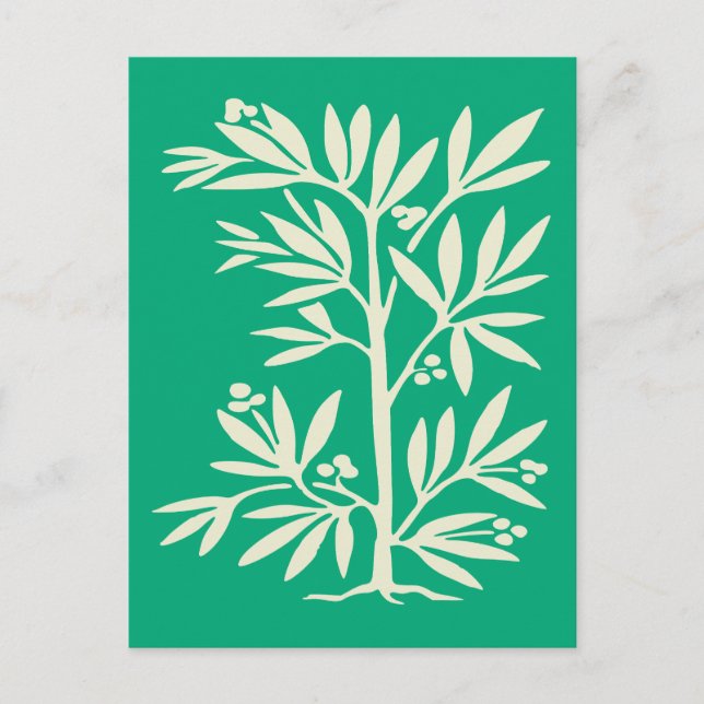 Minimalist Abstract Plant Silhouette Postcard (Front)