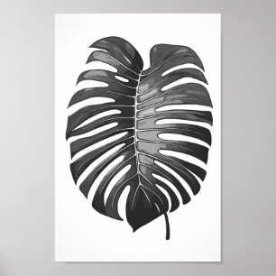 Minimalist, beautiful monochrome monstera albo poster