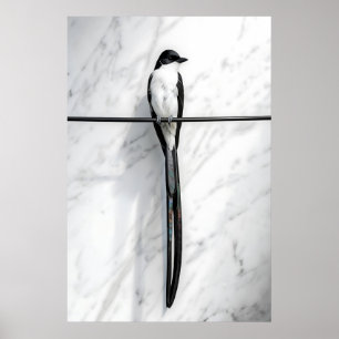 Minimalist Bird on Wire Photography Poster
