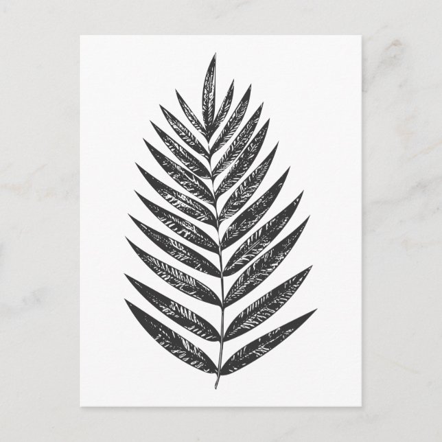 Minimalist Black and White Fern Drawing Postcard (Front)