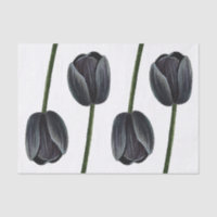 Minimalist Black Tulip