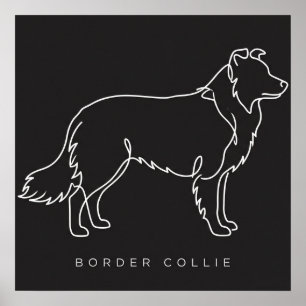 Minimalist Border Collie Line Art Dog Graphic Poster
