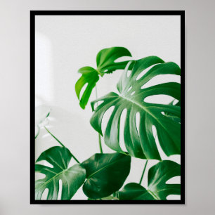Minimalist Botanical Photo Frame Wall Poster
