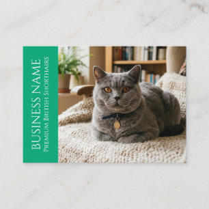 Minimalist British Shorthair Customisable Business Card