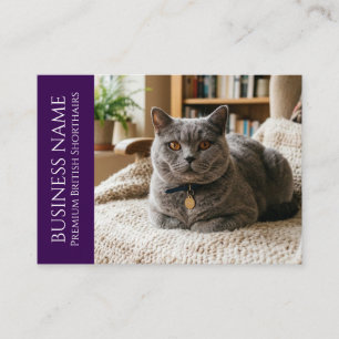 Minimalist British Shorthair Customisable Business Card