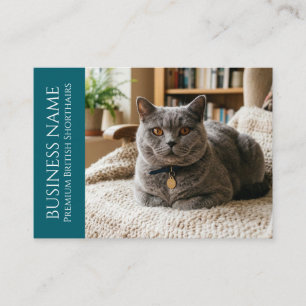 Minimalist British Shorthair Customisable Business Card