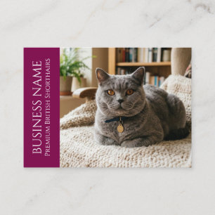 Minimalist British Shorthair Customisable Business Card