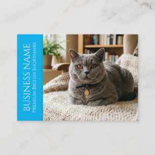 Minimalist British Shorthair Customisable Business Card