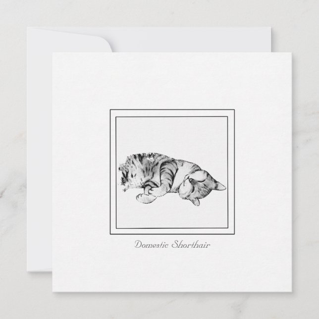 Minimalist Chalk & Charcoal Cat Sketch Card (Front)