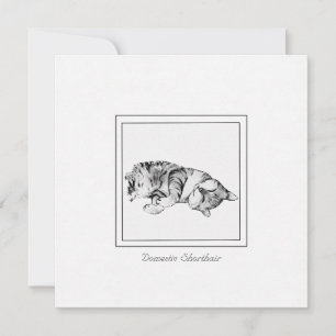 Minimalist Chalk & Charcoal Cat Sketch Card