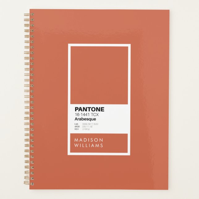 Minimalist Colour Palette Swatch Custom Terracott Planner (Front)