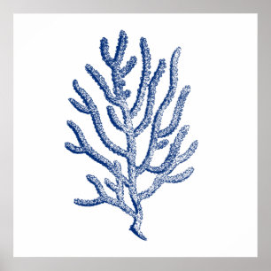 Minimalist Coral in Blue Poster