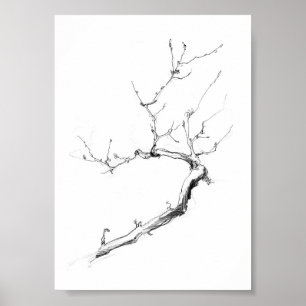 Minimalist Delicate Tree Branch Poster