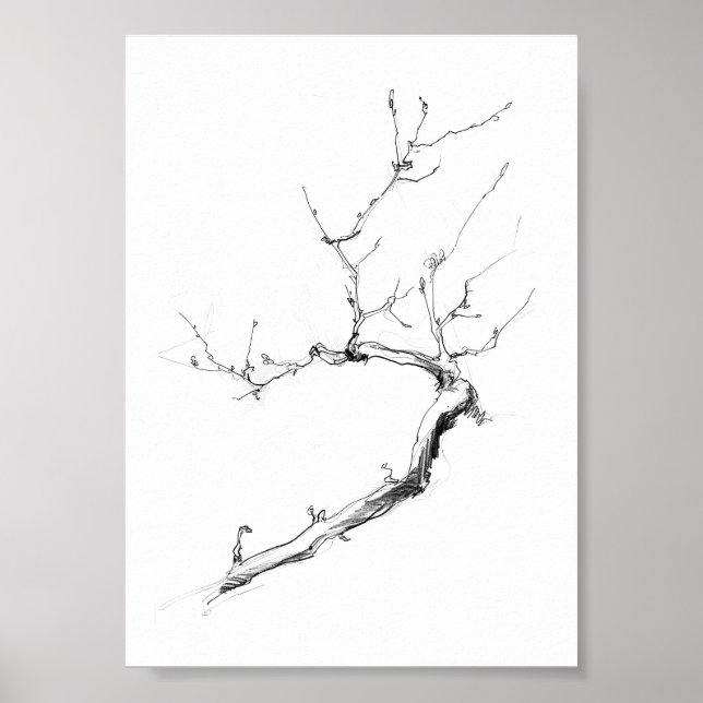 Minimalist Delicate Tree Branch Poster (Front)