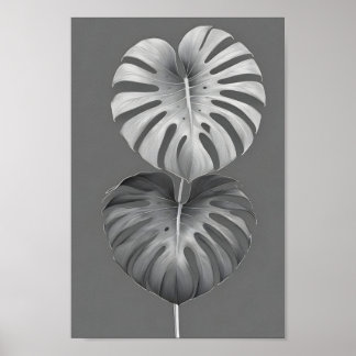 Minimalist, elegant monochrome monstera albo poster
