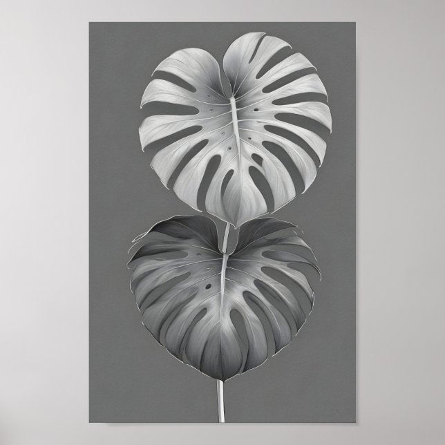 Minimalist, elegant monochrome monstera albo poster (Front)