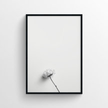 Minimalist Flower Photography in Monochrome