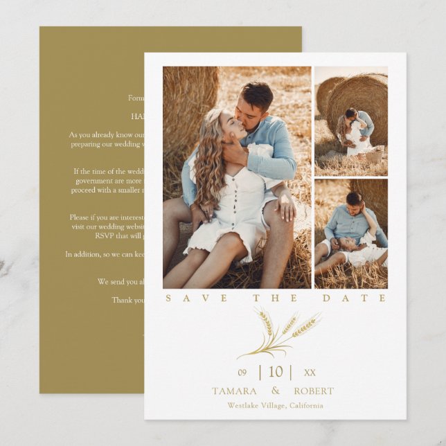 Minimalist Golden Wheat 3 Photos Collage Wedding (Front/Back)
