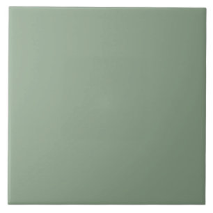 Minimalist Green Agate Square Plain Solid Colour Ceramic Tile