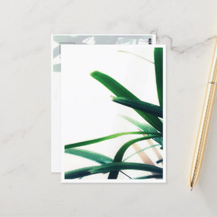 Minimalist Green Elegance Postcard