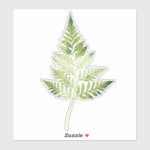 Minimalist Green Fern Botanical Illustration