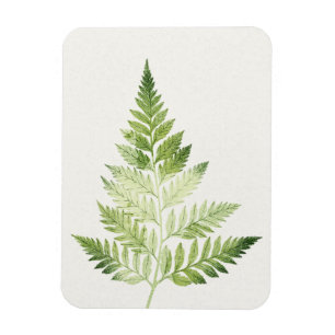 Minimalist Green Fern Botanical Illustration Magnet