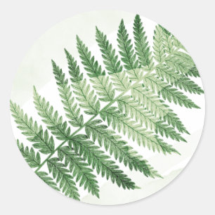 Minimalist Green Fern Wedding Classic Round Sticker