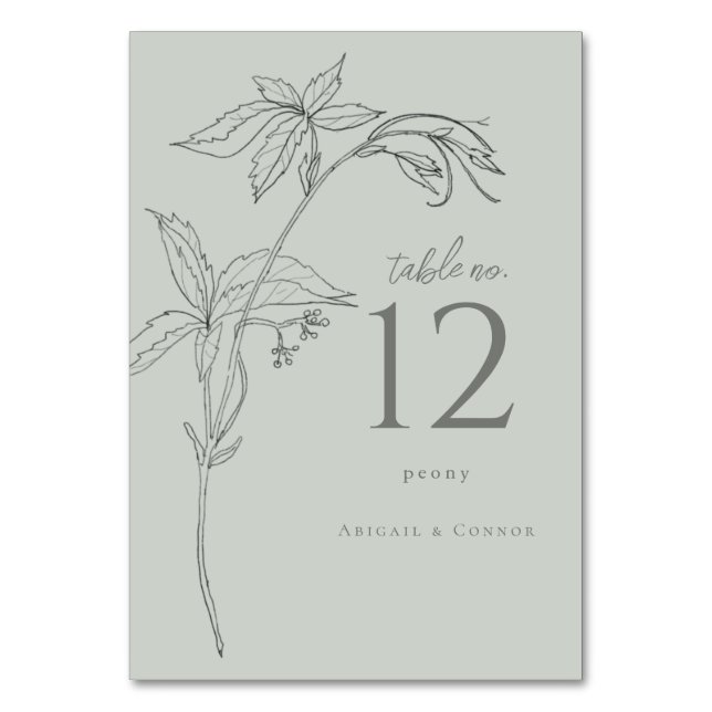 Minimalist Hand-drawn Vines Sage Green Grey Table Number (Front)