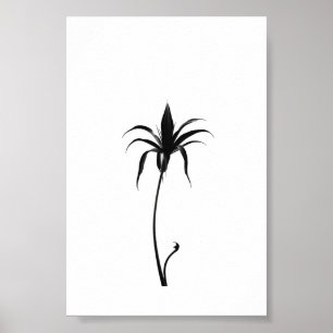 Minimalist Ink Flower Abstract Floral Art in Black Poster