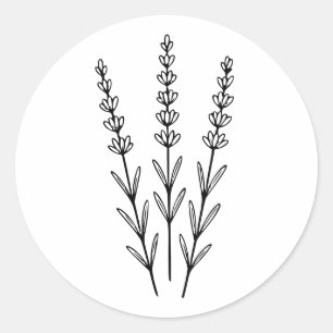 Minimalist Lavender Sprigs Botanical Line Art Classic Round Sticker