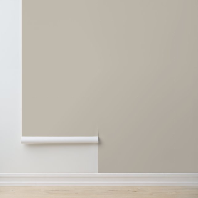 Minimalist light beige plain solid classic elegant wallpaper (Application)