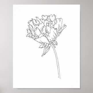 Minimalist line drawing poster of peony flower