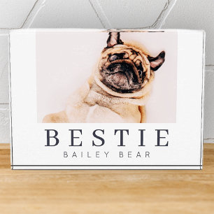 Minimalist Modern Chic Pet Bestie BFF Photo Block