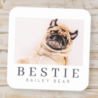 Minimalist Modern Chic Pet Bestie BFF Photo