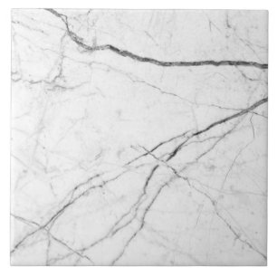 Minimalist modern marble look tile