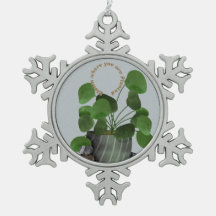 Minimalist Money Plant -