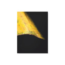 Minimalist Nature Photography Leaf in Shadow