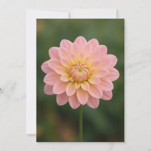 Minimalist One‑Flower Thank You Card 
